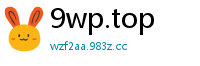 9wp.top